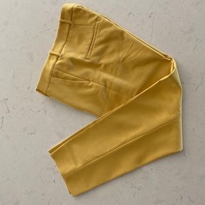 Zara Woman Pant